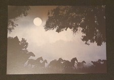 Pferdepostkarte, AK Pferde