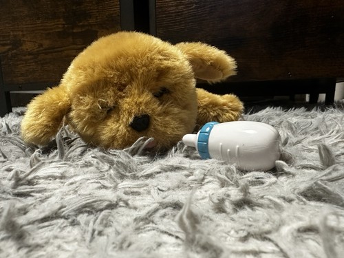 Little live pets snuggles - live,