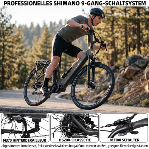 Ttgo elektrofahrrad 250w - elektrofahrrad,