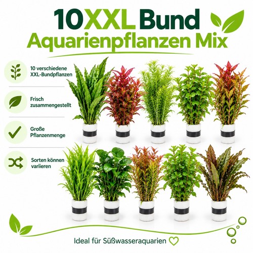 Xxl bund aquariumpflanzen - 10,