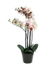  Künstliche Orchidee