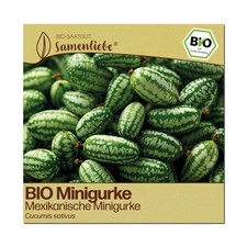 BIO Gurken Samen Mexikanische