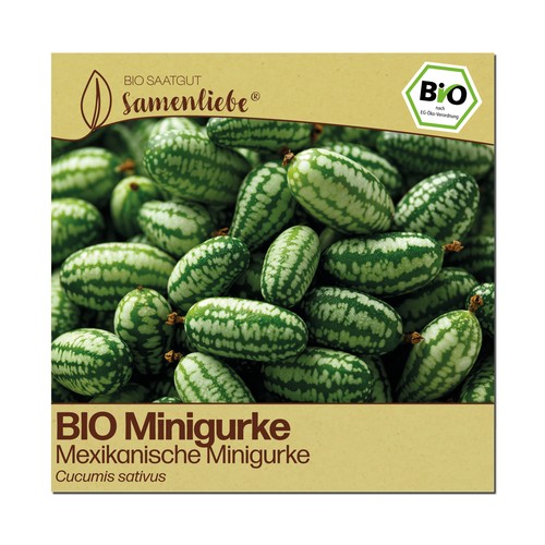 Bio gurken samen - samen, mexikanische