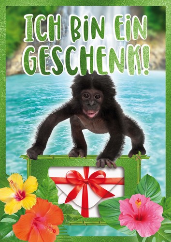 Geburtstag geldkarte - geburtstag,