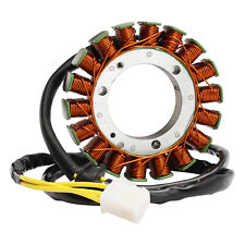 Stator Lichtmaschine für