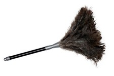 WENKO Staubmagnet Staubwedel Teleskopstange Ausziehbar Staubwischer Staubbesen