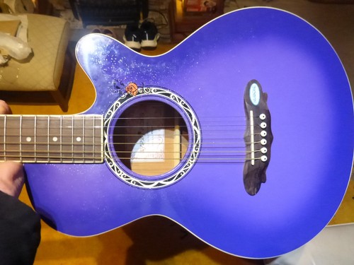 Akustikgitarre gypsy rose - gypsy,