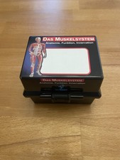 Das Muskelsystem des Menschen