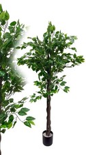 Künstlicher ficus benjamin - künstlicher,
