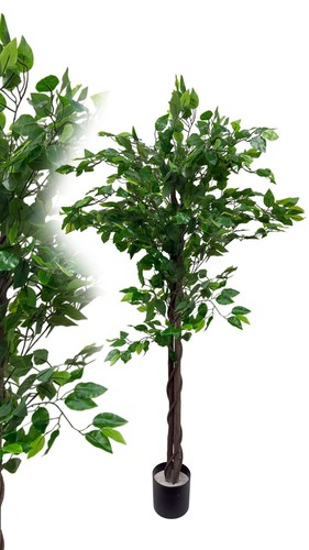 Künstlicher ficus benjamin - künstlicher,