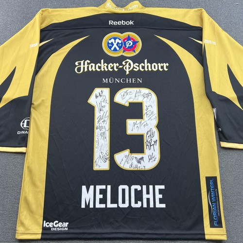 Straubing tigers 2009 - straubing,