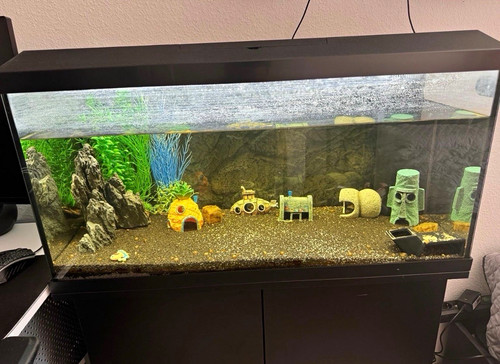 Juwel komplettaquarium glas - juwel,