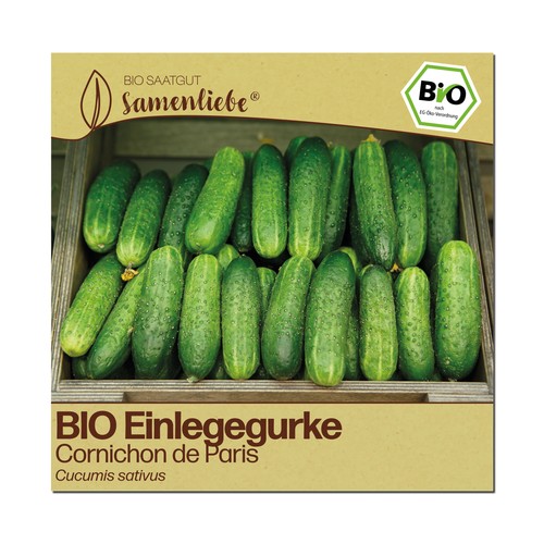 Bio gurken samen - bio, sorte
