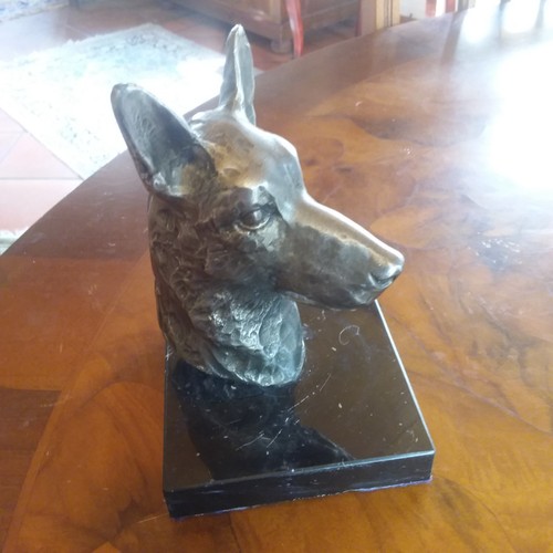 Schäferhunde büste bronze - schäferhunde,