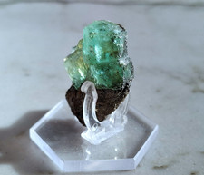 Horizontal verwachsener