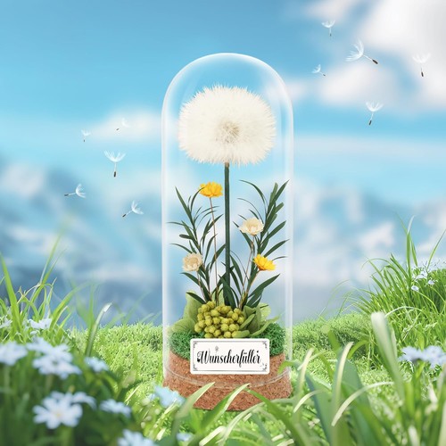 Wunscherfüller pusteblume - wunscherfüller, im
