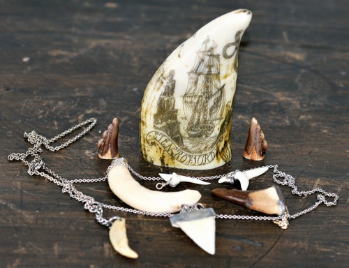 Antiker scrimshaw pottwal - antiker, zahn