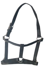 Lederhalfter schwarz c s - gr., c/s