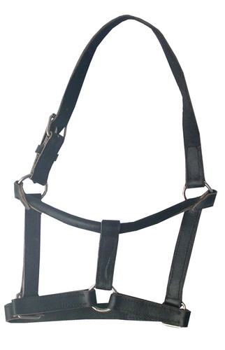 Lederhalfter schwarz c - lederhalfter,, gr.