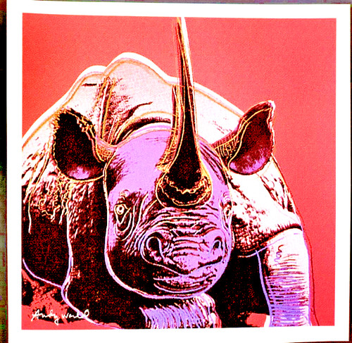Andy warho nashorn - -,