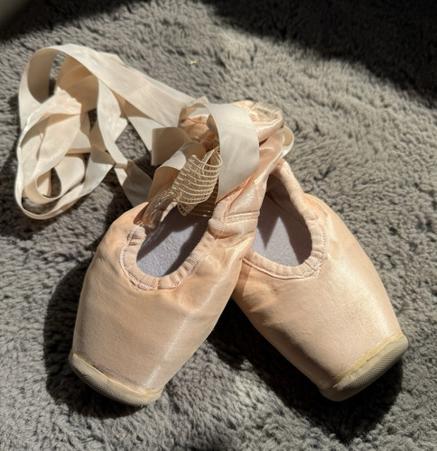 Profi spitzenschuhe gebraucht - profi,