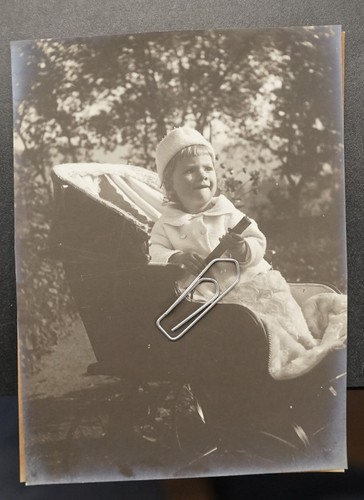 Foto portrait kinderwagen - portrait,