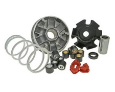 Variomatik Malossi Multivar