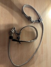 Hundeleine mit halsband - hundeleine,