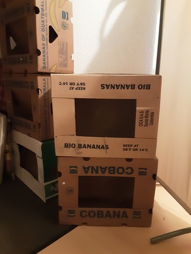 Bananenkartons umzugskartons - bananenkartons,