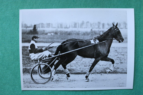 Epm foto pferderennen 1952 - foto,