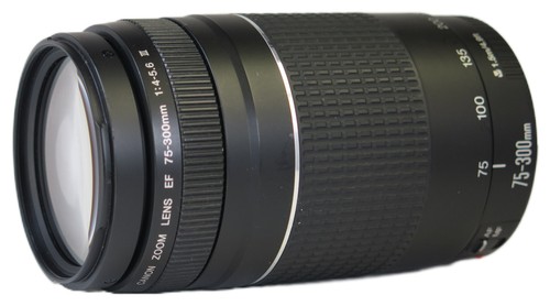 Canon 300 4 0 - ef, 75-300