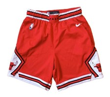 Nike Chicago Bulls Icon