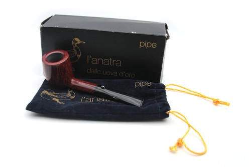 Anatra delle uova oro - l'anatra,