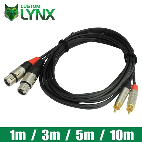 Rean neutrik buchse xlr - x,