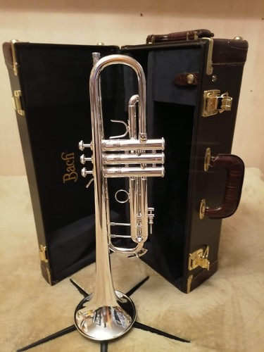 Bach model stradivarius - gh,