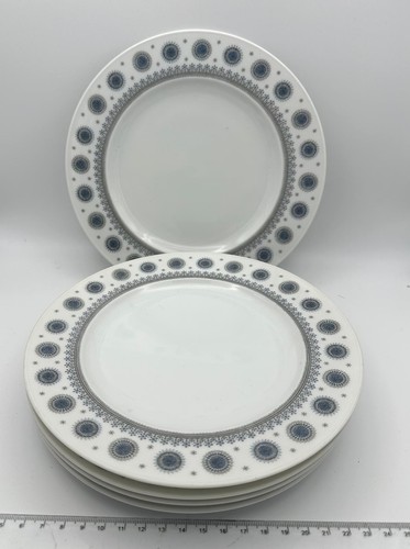 Rosenthal schneeblume - 5x,