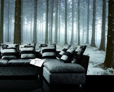 3D Schnee Wald Q6080 Tapete