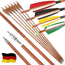 12X Carbonpfeile 30 Zoll