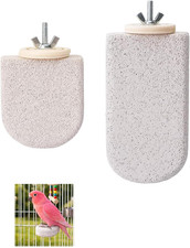 2 Stück Wellensittich