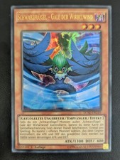 Schwarzflügel - Gale der