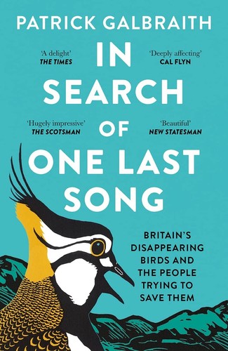 Search one last song - in,