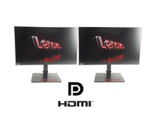 2x Lenovo ThinkVision T24i-2L