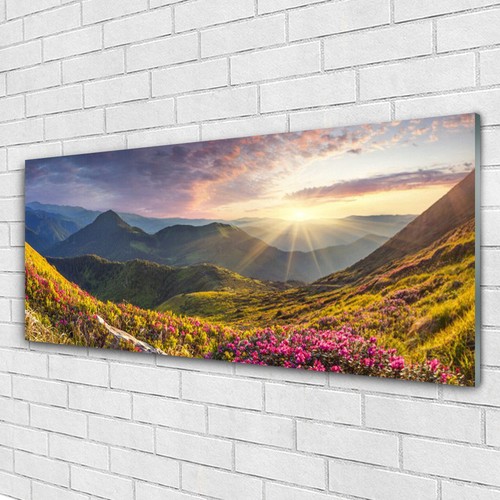 Acrylglasbilder wandbilder - acrylglasbilder,