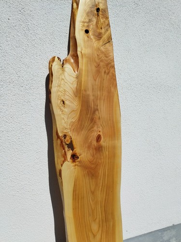 Dekor brett bohle - dekor, brett-bohle-baumkante-