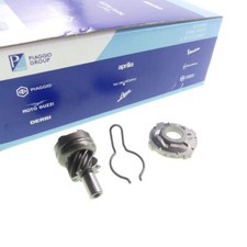 Kickstartermitnehmer Ritzel