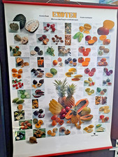 Edition Teubner Poster, Plakat