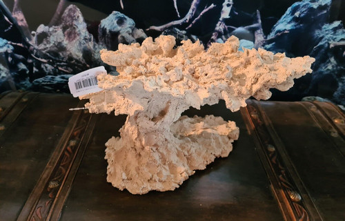 Arka flying reef 32x19x20cm - arka,