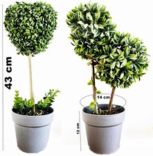 Künstliche Pflanzen Buchsbaum