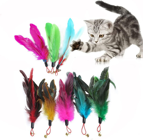 Stück interaktive katzen - 8,