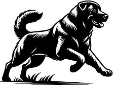 KANGAL Karabash Akbash